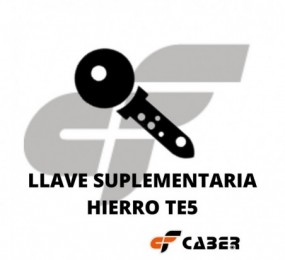 LLAVE SUPLEMENTARIA HIERRO TE5